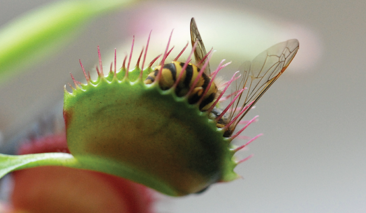 isci_attract-and-retain-traffic