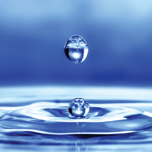 ISCI-blog-post-puddle