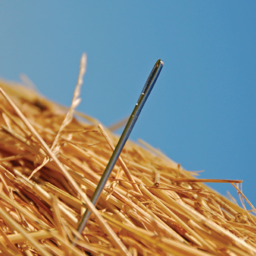 isci_blog_images_searching-for-clients